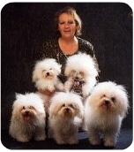 Carla Perondi e i suoi amati cuccioli